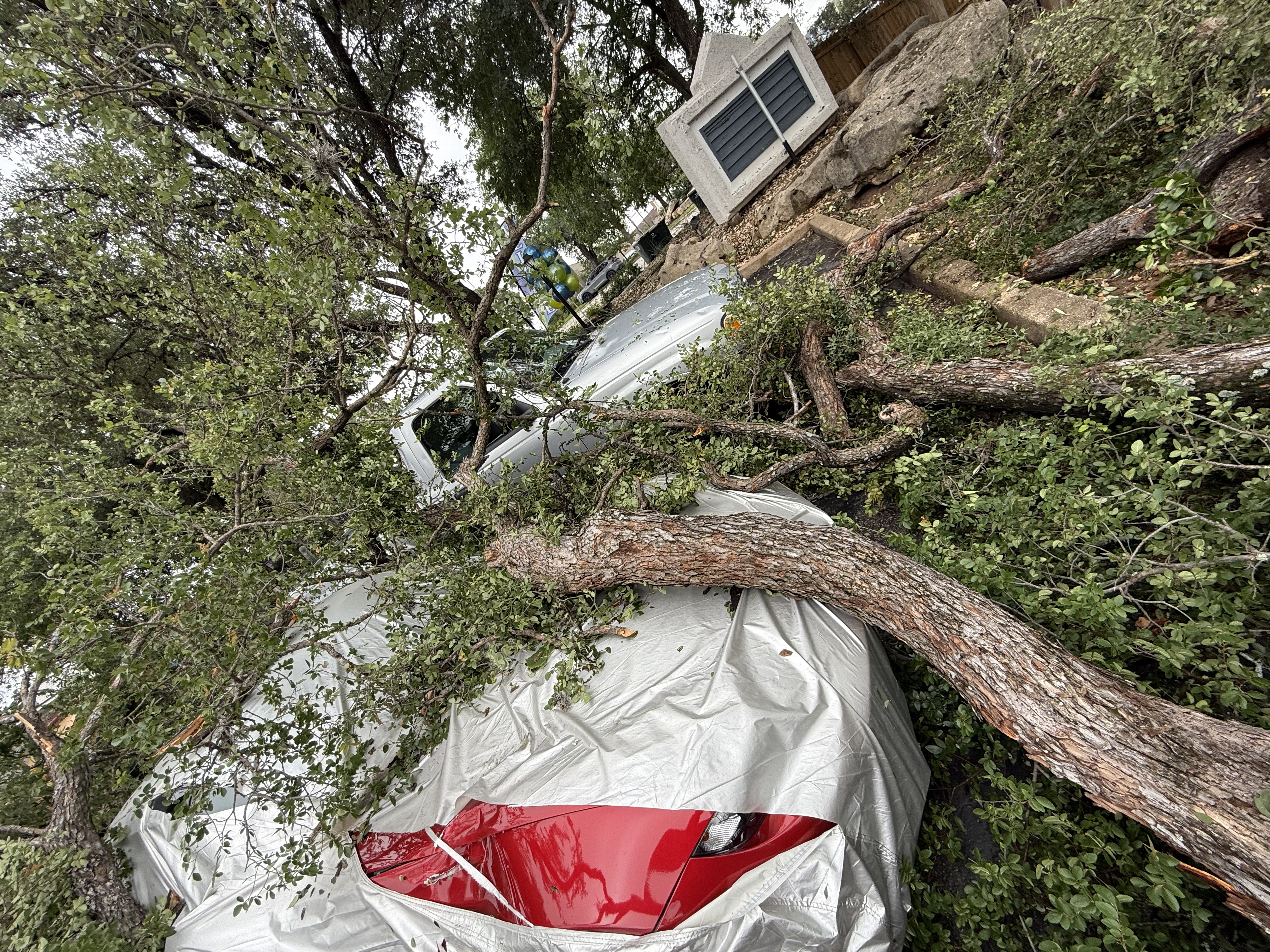 Emergency tree removal after storm damage near a vehicle