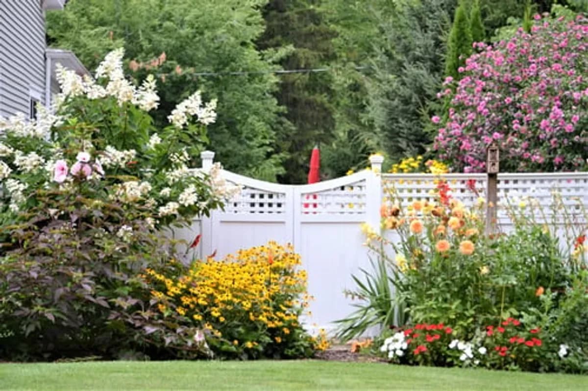 White privacy fence with decorative lattice top running behind a lush flower garden on a residential property