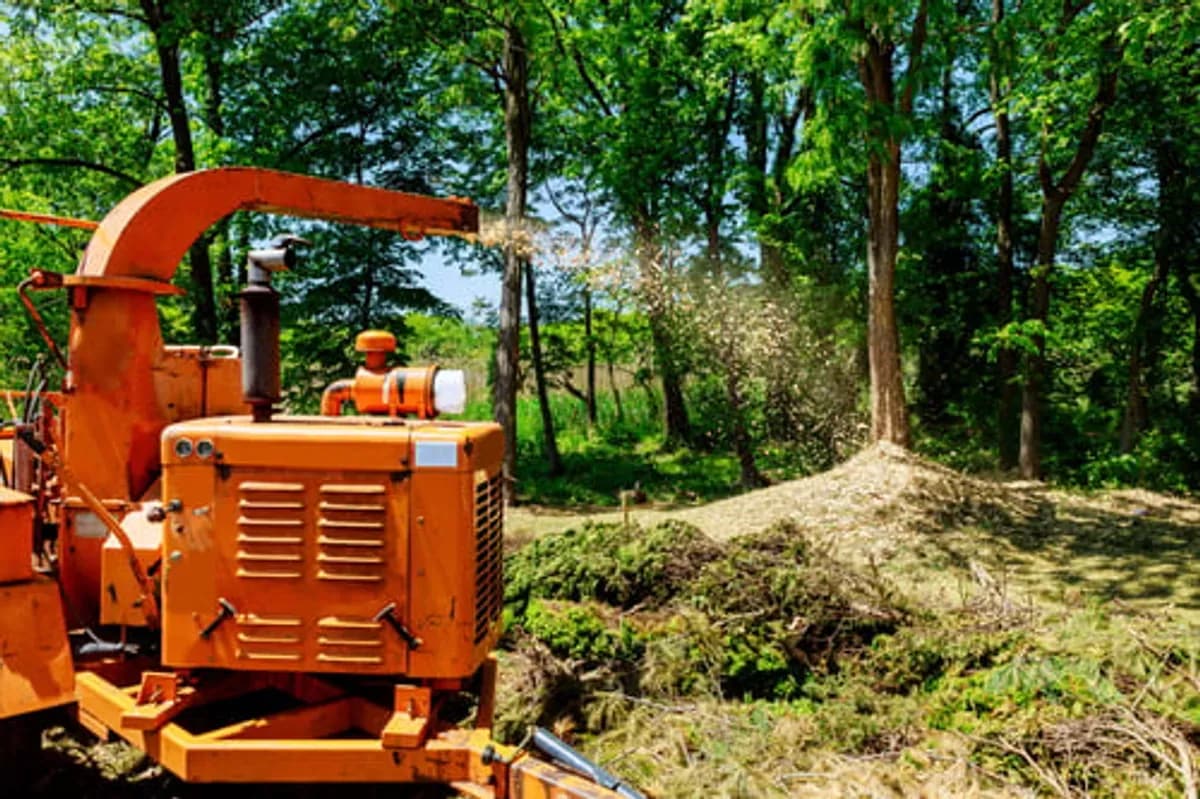 Orange wood chipper working in a sunlit stand of trees during a Central Texas tree care job