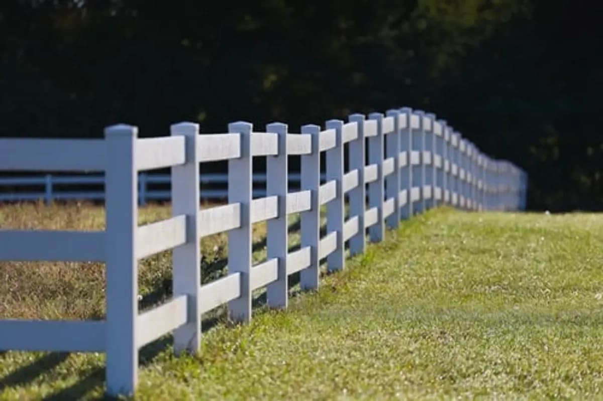 Newly installed white ranch-style fence running along a green property line — fence installation by Escudero Tree Service