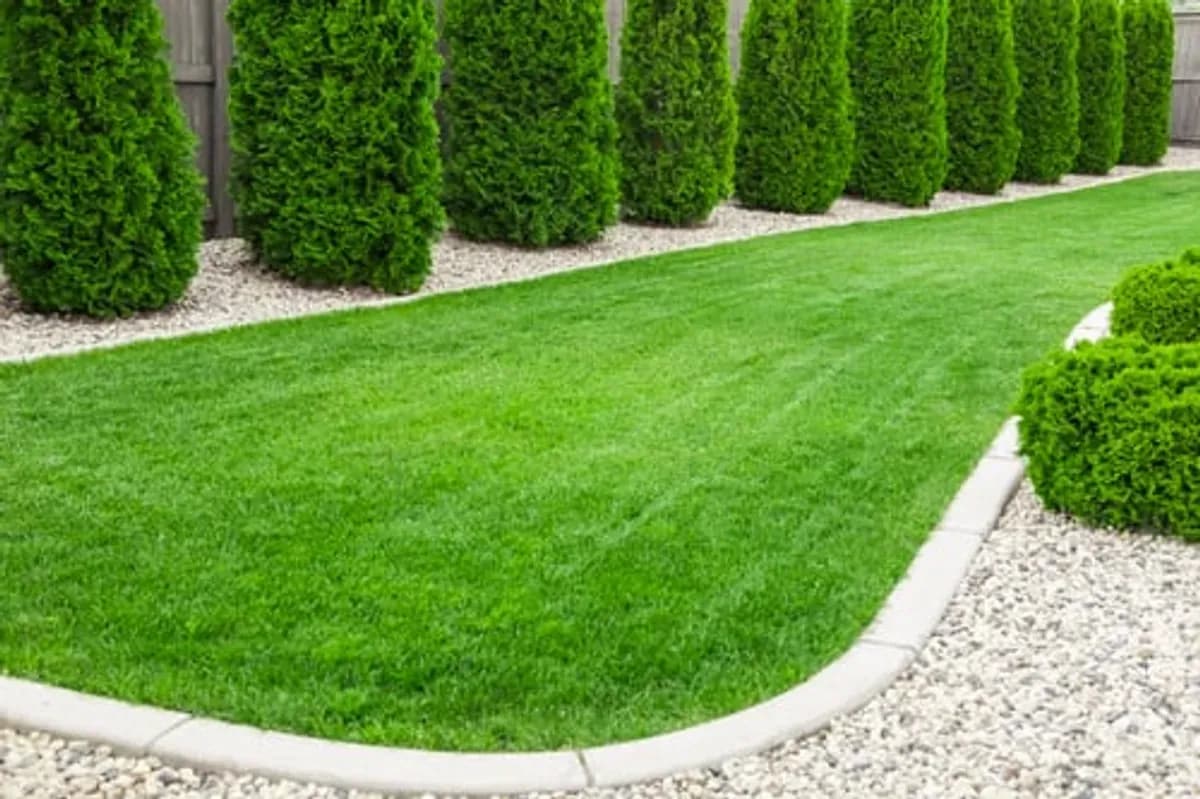 Freshly maintained lawn with stone edging and trimmed evergreen hedge — landscaping work by Escudero Tree Service in Central Texas