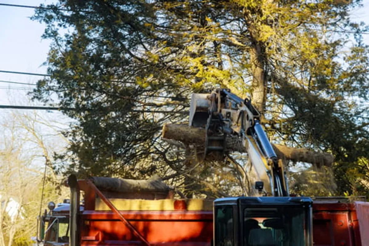 Grapple truck lifting a heavy trunk section during a professional tree removal by Escudero Tree Service near Austin, TX